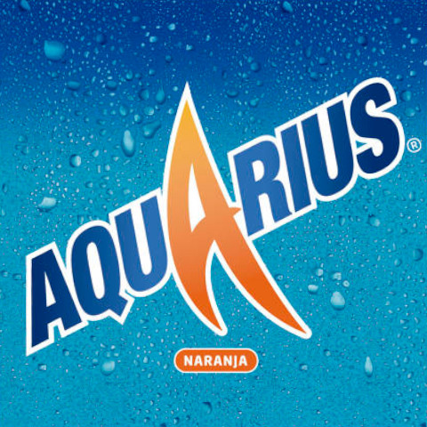 Aquarius Naranja 330